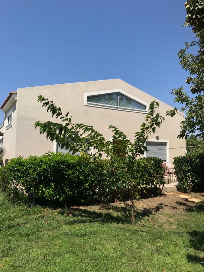 斯卡拉埃雷索Perivoli House B别墅 外观 照片